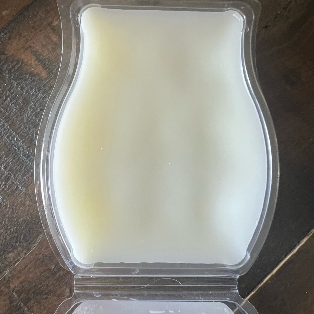 Fresh Cut Daisies - Scentsy Bar - Picture 2 of 2